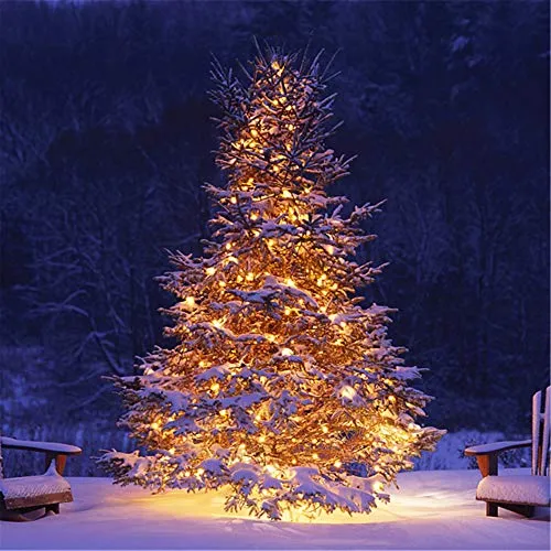 300 LED Christmas Mini String Lights - 99ft - Fairy Lights with Safe Adapter - Warm White