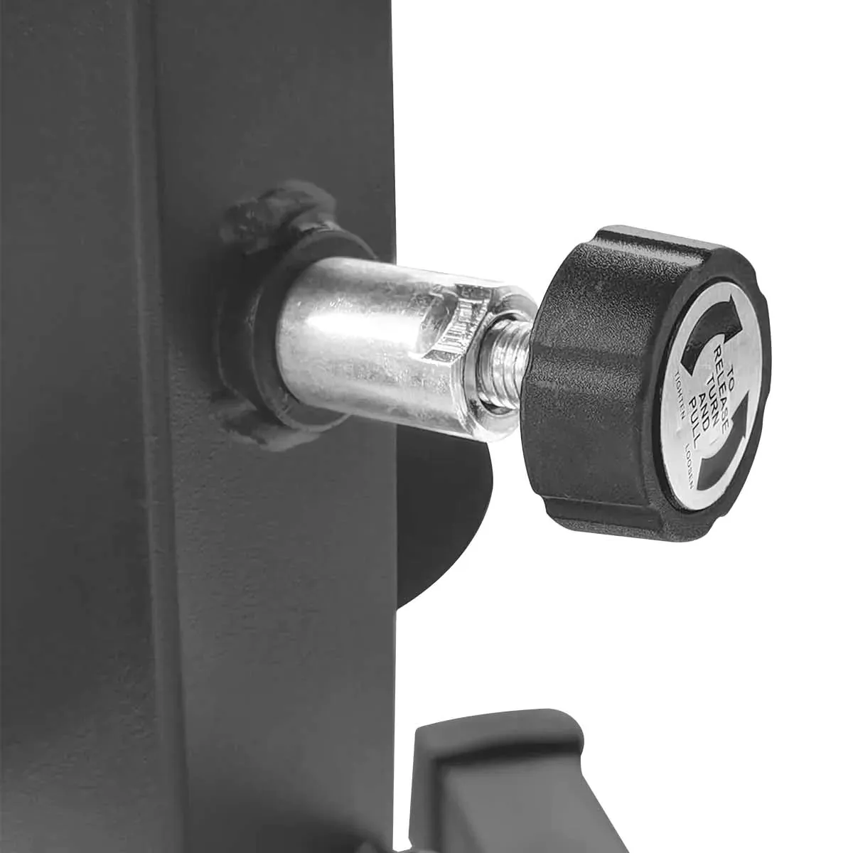 CORTEX BN-11 FID Bench